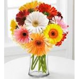 10 Colorful Gerberas In A Glass Vase
